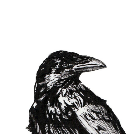 Tales From Nevermore